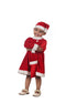 BookMyCostume Christmas Dress for Girls Santa Theme Frock Fancy Dress Costume | Santa Girl Costume - Premium